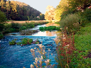 Die Püttlach in Franken ist top zum Fliegenfischen