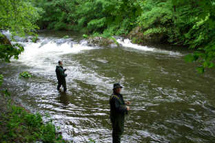 Fliegenfischen an der Bode