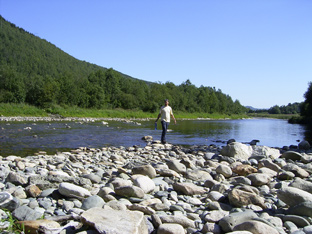 Fliegenfischen an der Glomma in Norwegen