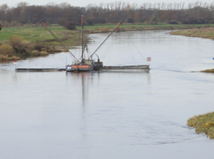 Weser: Lachse und Meerforellen