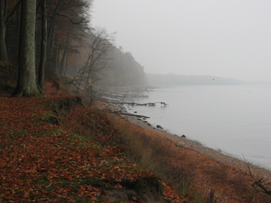 Insel Als in Dänemark, sehr schöne Strecke zun Fliegenfischen