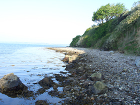 Frühmorgens schon helles Sonnenlicht beim Meerforellenfischen auf der Insel Als in Dänemark