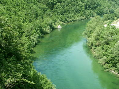 Fliegenfischen in Österreich an der TraunTraun