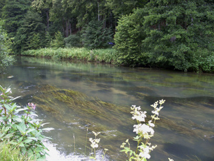 Die Wiesent in Franken, ein Juwel zum Angeln und Fliegenfischen. Jetzt im Sommer sieht aber alles schon wieder anders aus.