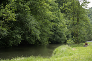 Angeln und Fliegenfischen an der Wiesent