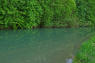 Fliegenfischen: noch keine Maifliegen an der Blau bei Ulm.