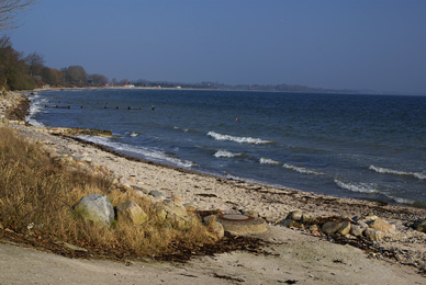 Auf Meerforelle in der Flensburger Förde, hier bei Bockholmwik