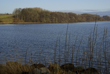 Flensburger Förde. Hier an Ostseeküste bei Bockholmwik, der Blick nach Norden. Hier kann man sehr gut auf Meerforelle und Dorsch angeln.