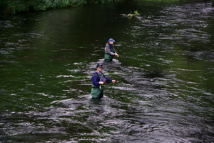 Fliegenfischen an der Bode