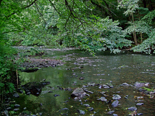 Die Omegakurve der Bode zwischen Altenbrak und Treseburg