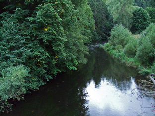 Bode hinter dem Hotel Forelle in Treseburg