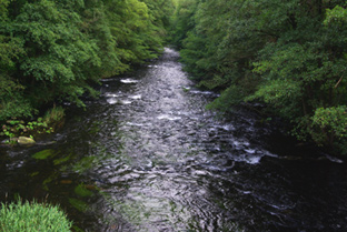 Viel Wasser in der Bode bei Altenbrak