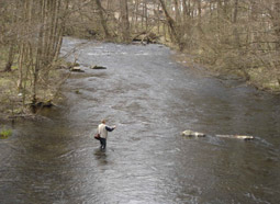 Bode im Harz