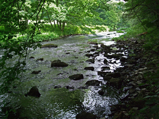 Wenig Wasser im oberen Teil der Bode