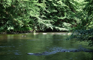 Im Juli 2009 an der Bode bei Treseburg angeln