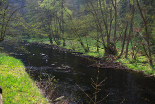 Wenig Wasser beim Fliegenfischen an der Bode bei Treseburg