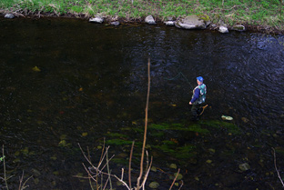 Fliegenfischer an der Bode im Ostharz bei Wernigerode