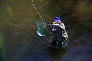 Fliegenfischen an der Bode im Ostharz bei Wernigerode