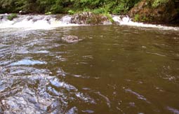 eingetrübtes Wasser der Bode im Ostharz