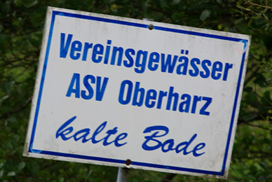 Der ASV Oberharz gibt Karten für die Kalte Bode aus