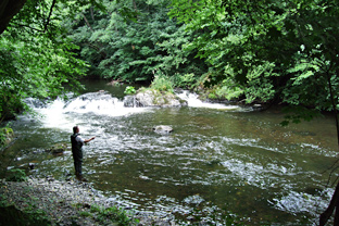 Wenig Wasser im oberen Teil der Bode