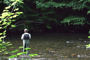 Auch unter den Büschen der Bode ging heute nicht viel beim Fliegenfischen