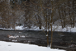 Schonzeit an der Bode