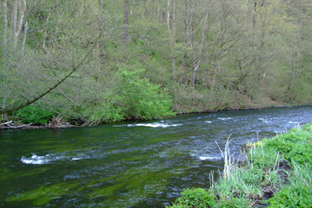 Stück der "Omega-Kurve" der Bode zwischen Altenbrak und Treseburg