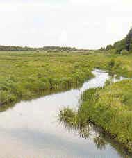 Angeln an der Brons Au in Dänemark