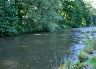 Diemel bei Hochwasser