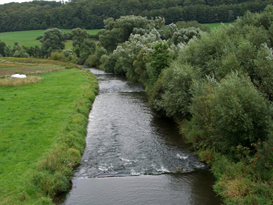 Die Diemel in Hessen, hier in Nordhessen kann man Fliegenfischen und Angeln