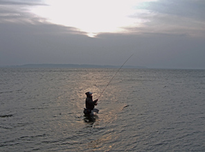 Fliegenfischen auf Meerforelle an der Ostsee