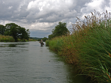 Fliegenfischen mit der Zweihandrute auf Lachs und Meerforelle an der Gudenau in Dänemark