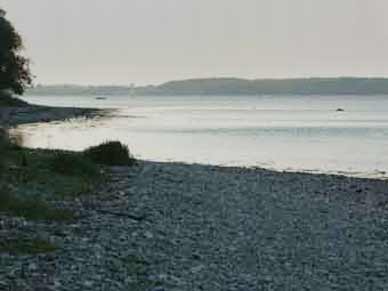 Aabenraa-Fjord in Jütland. Gut auf Meerforelle