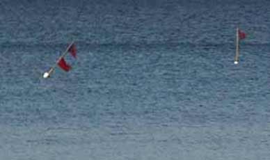 Stellnetze an der Ostsee fangen viele Meerforellen weg