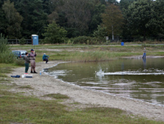 Fliegenfischen nahe Neumünster