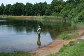 Angler drillt Regenbogenforelle