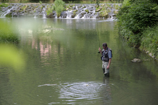 Maifliegenzeit an der Wiesent, jetzt fängt jeder seine Fische