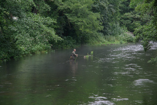 Die Bode führt etwas zuviel Wasser