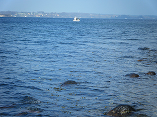 Fischerboot im Flensburg Fjord