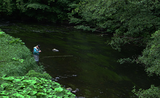 Fliegenfischen zwischen Altenbrak und Treseburg