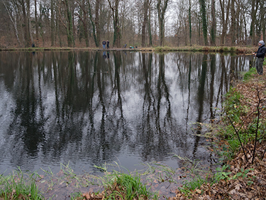 Forellensee bei Nienburg / Marklohe. Angeln und Fliegenfischen.