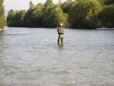 Fliegenfischen auf Forellen in der Gail, Österreich