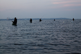 Auf Meerforelle Fliegenfischen in der Kieler Förde