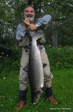 Lachs, gefangen beim Fliegenfischen in Norwegen