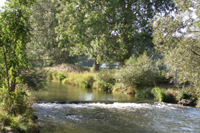 Fliegenfischen an der Diemel