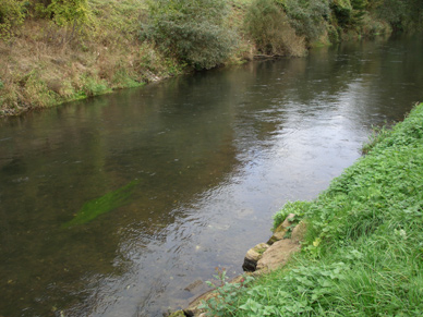 Fliegenfischen an der Diemel