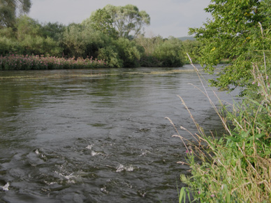 Angeln und Fliegenfischen an der Eder in Hessen