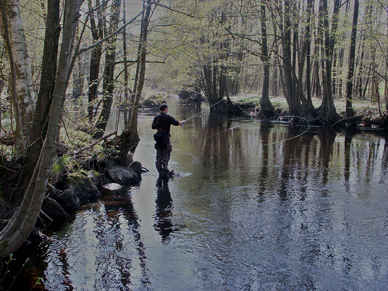 Fliegenfischen an der Holjeau