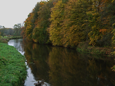 Fliegenfischen an der Ilmenau